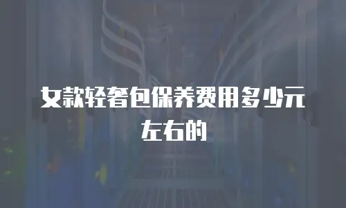 女款轻奢包保养费用多少元左右的