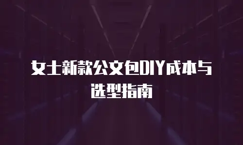 女士新款公文包DIY成本与选型指南