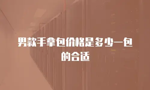 男款手拿包价格是多少一包的合适