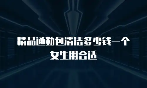 精品通勤包清洁多少钱一个女生用合适