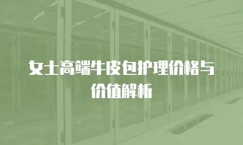女士高端牛皮包护理价格与价值解析