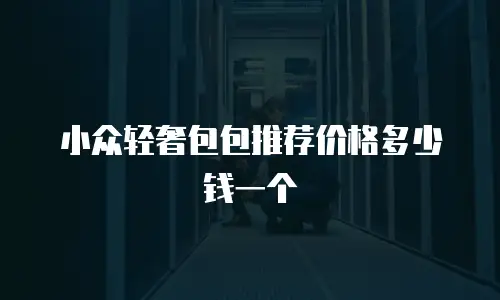小众轻奢包包推荐价格多少钱一个