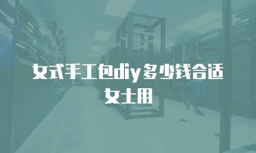女式手工包diy多少钱合适女士用