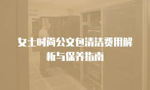 女士时尚公文包清洁费用解析与保养指南