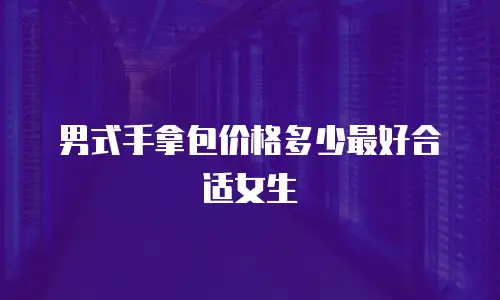 男式手拿包价格多少最好合适女生