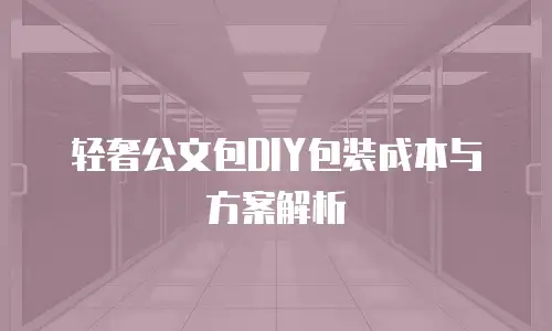 轻奢公文包DIY包装成本与方案解析