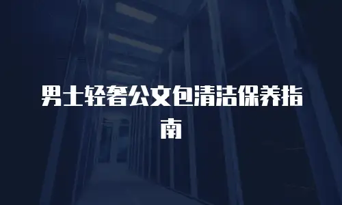 男士轻奢公文包清洁保养指南
