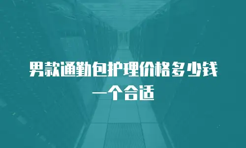 男款通勤包护理价格多少钱一个合适