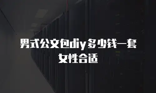 男式公文包diy多少钱一套女性合适