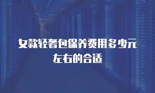 女款轻奢包保养费用多少元左右的合适