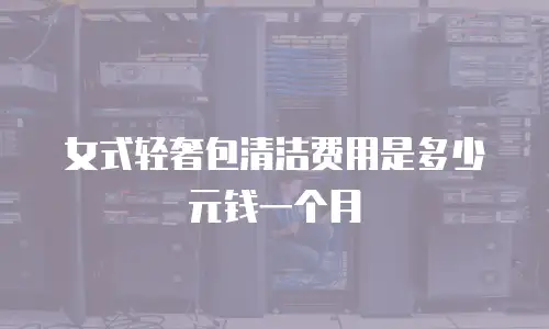 女式轻奢包清洁费用是多少元钱一个月