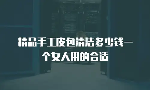 精品手工皮包清洁多少钱一个女人用的合适