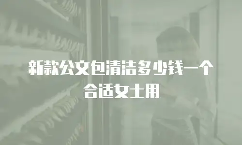 新款公文包清洁多少钱一个合适女士用