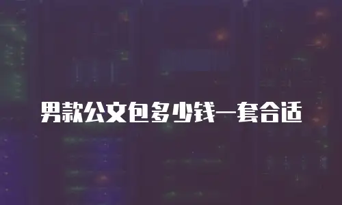 男款公文包多少钱一套合适