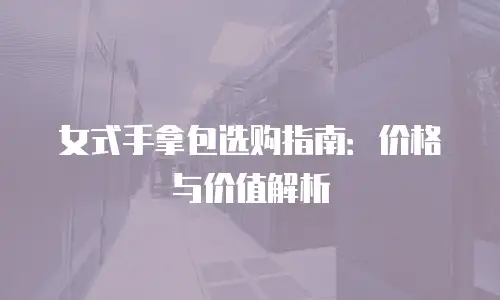 女式手拿包选购指南：价格与价值解析