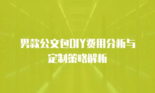 男款公文包DIY费用分析与定制策略解析