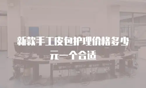 新款手工皮包护理价格多少元一个合适