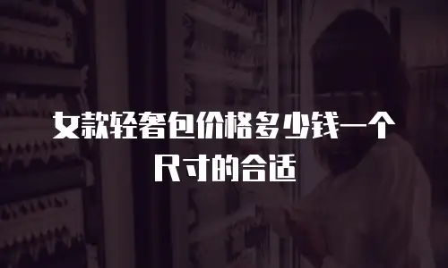 女款轻奢包价格多少钱一个尺寸的合适