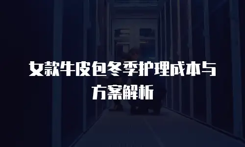 女款牛皮包冬季护理成本与方案解析