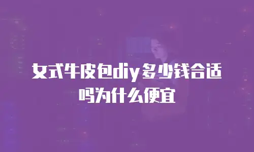 女式牛皮包diy多少钱合适吗为什么便宜