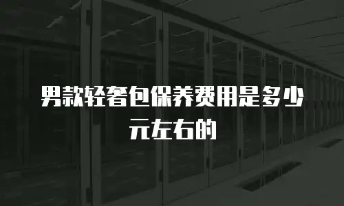 男款轻奢包保养费用是多少元左右的