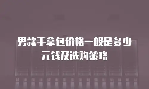男款手拿包价格一般是多少元钱及选购策略