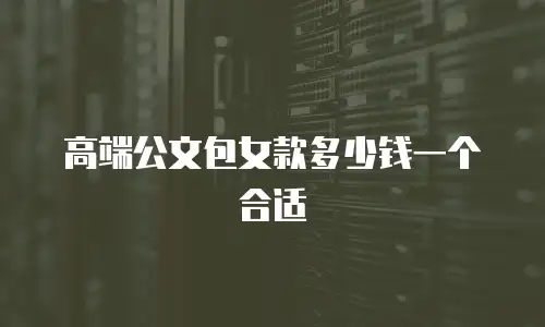 高端公文包女款多少钱一个合适