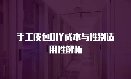 手工皮包DIY成本与性别适用性解析