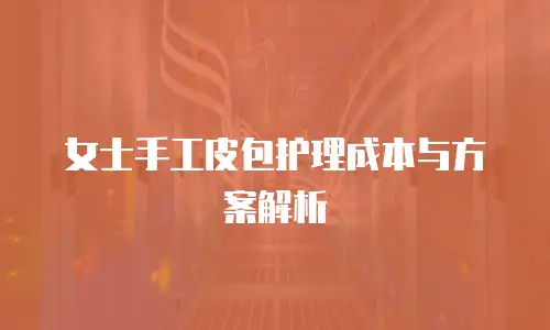 女士手工皮包护理成本与方案解析