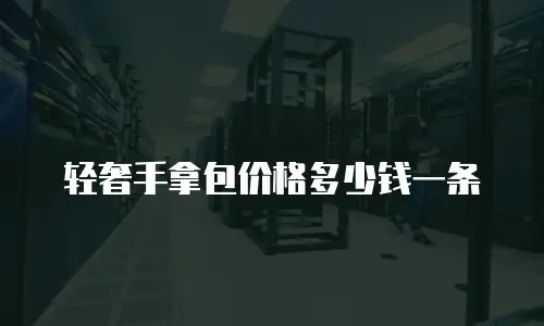 轻奢手拿包价格多少钱一条