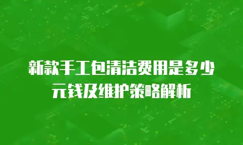 新款手工包清洁费用是多少元钱及维护策略解析