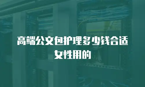 高端公文包护理多少钱合适女性用的