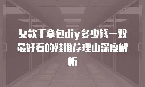 女款手拿包diy多少钱一双最好看的鞋推荐理由深度解析