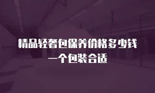 精品轻奢包保养价格多少钱一个包装合适