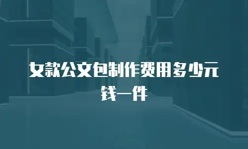 女款公文包制作费用多少元钱一件