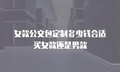 女款公文包定制多少钱合适买女款还是男款