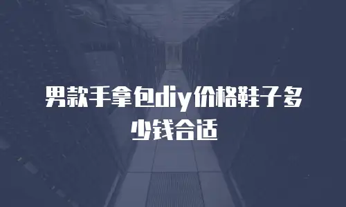 男款手拿包diy价格鞋子多少钱合适