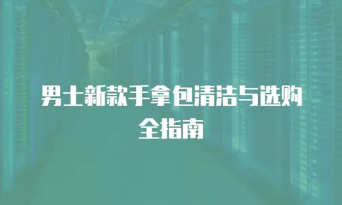 男士新款手拿包清洁与选购全指南