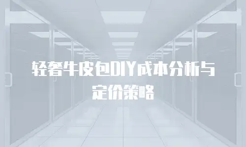 轻奢牛皮包DIY成本分析与定价策略