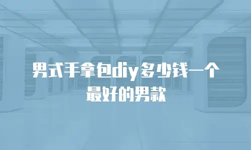 男式手拿包diy多少钱一个最好的男款