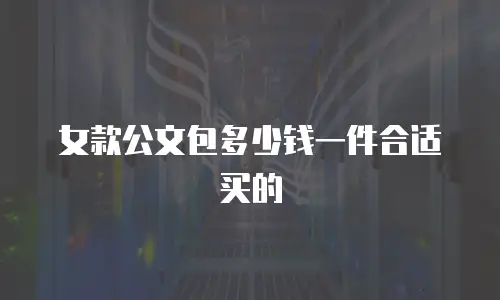 女款公文包多少钱一件合适买的