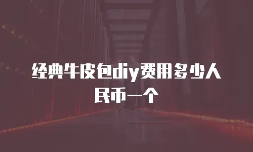 经典牛皮包diy费用多少人民币一个