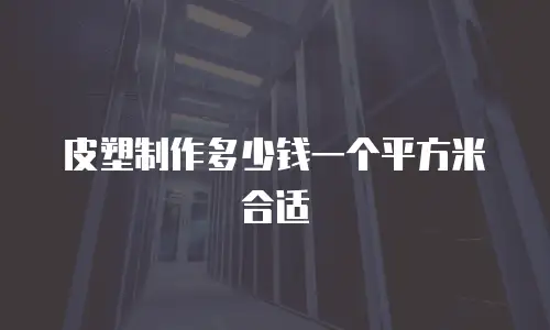 皮塑制作多少钱一个平方米合适