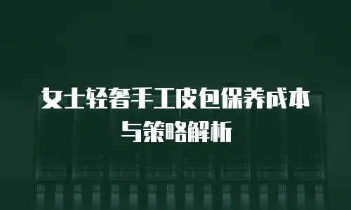 女士轻奢手工皮包保养成本与策略解析