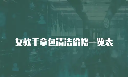 女款手拿包清洁价格一览表