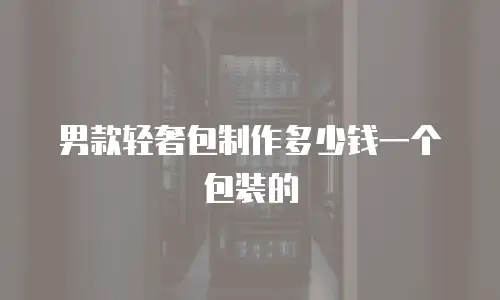 男款轻奢包制作多少钱一个包装的
