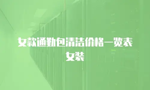 女款通勤包清洁价格一览表女装