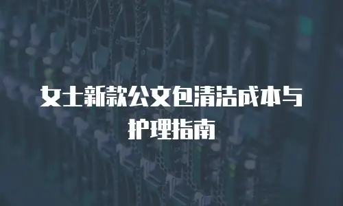 女士新款公文包清洁成本与护理指南
