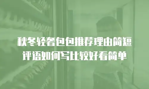 秋冬轻奢包包推荐理由简短评语如何写比较好看简单