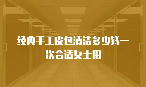 经典手工皮包清洁多少钱一次合适女士用